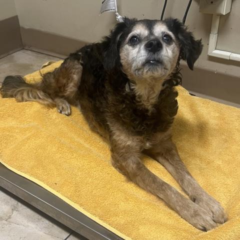 Photo for 154676 [Pablo]