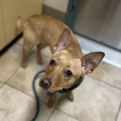 Photo for 154692 [Faline]