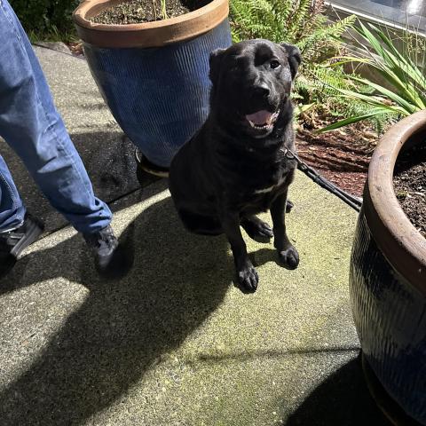 Photo for 154704 [fr154704]