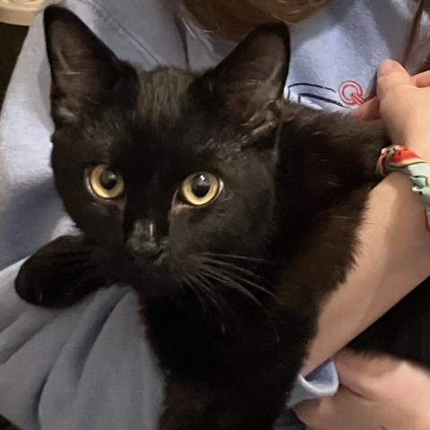 Photo for 154708 [fr154708]