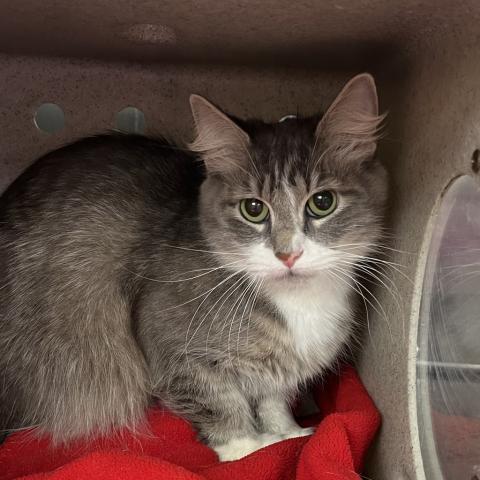 Photo for 154718 [Deena]