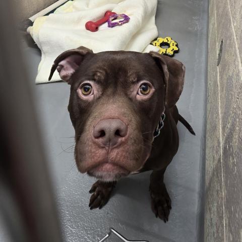 Photo for 154722 [378239]