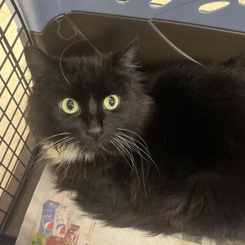 Photo for 154739 [378282]