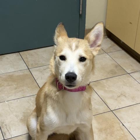 Photo for 154741 [Taylor]