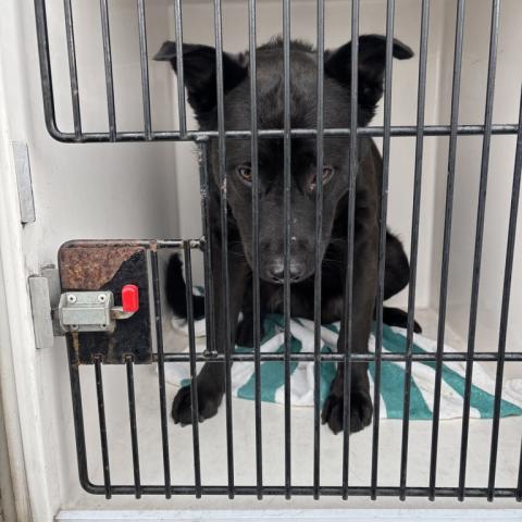 Photo for 154762 [378302]