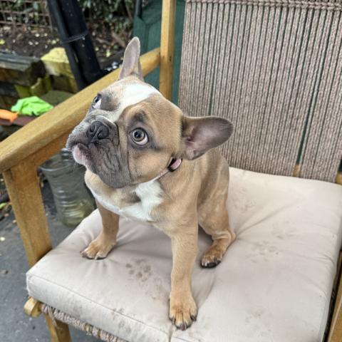 Photo for 154772 [fr154772]