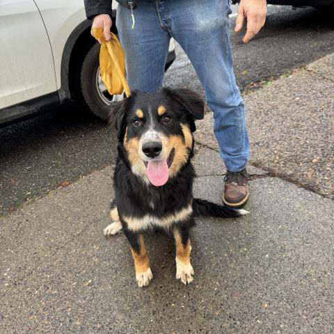 Photo for 154774 [Unknown]