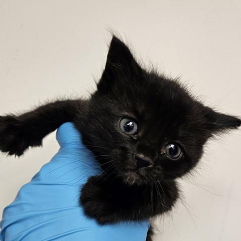 Photo for 154778 [378309]