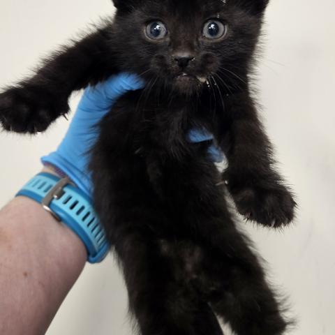 Photo for 154780 [378310]