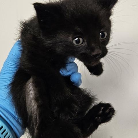 Photo for 154782 [378311]