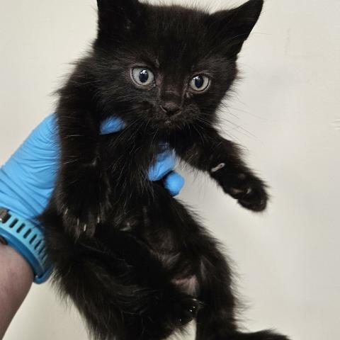 Photo for 154788 [378315]