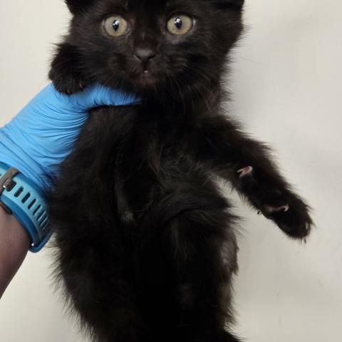 Photo for 154790 [378316]