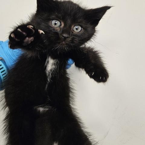 Photo for 154792 [378317]