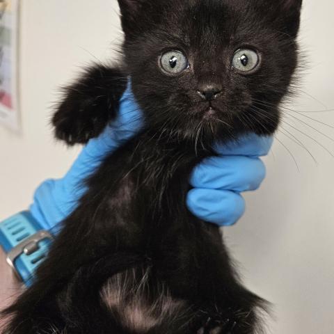 Photo for 154794 [378318]