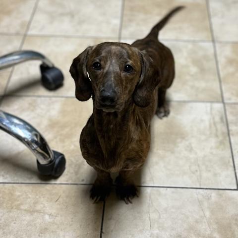 Photo for 154809 [Ernie]