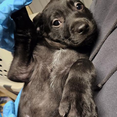 Photo for 154817 [378336]