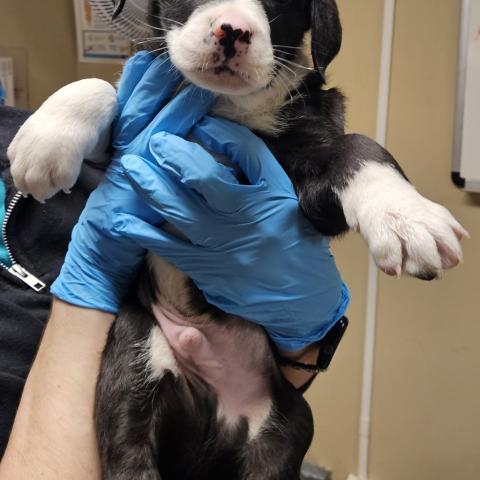 Photo for 154819 [378337]