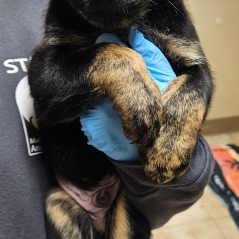 Photo for 154821 [378338]