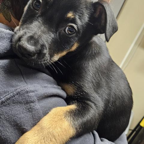 Photo for 154823 [378339]