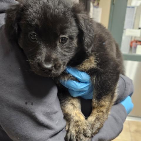 Photo for 154825 [378340]