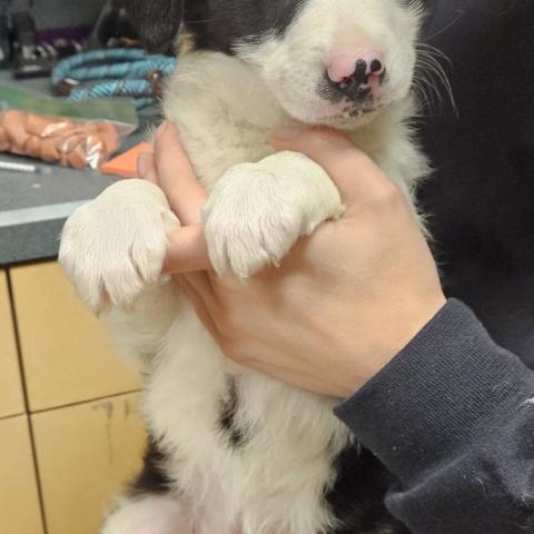 Photo for 154827 [378341]