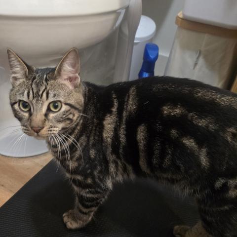 Photo for 154831 [fr154831]