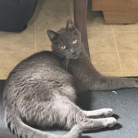 Photo for 154860 [Cement]