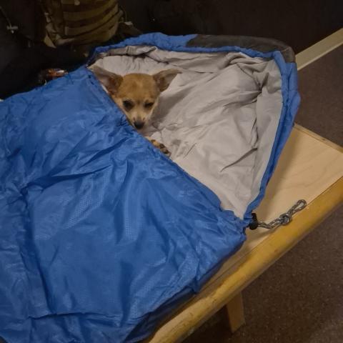 Photo for 154866 [Lunchbox]