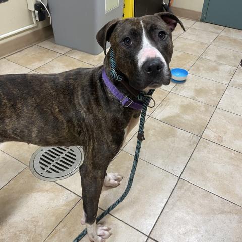 Photo for 154898 [Claire]