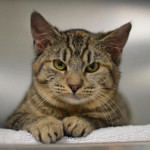 Photo for 154910 [378429]