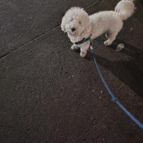 Photo for 154924 [Unknown]