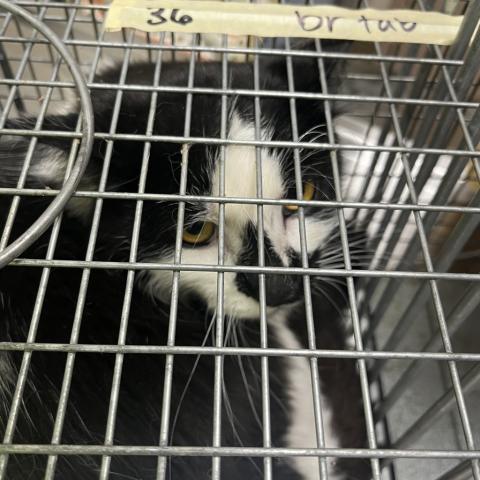 Photo for 154951 [378468]