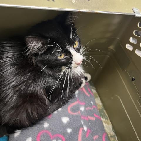 Photo for 154953 [378469]