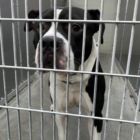 Photo for 154959 [Zenos]