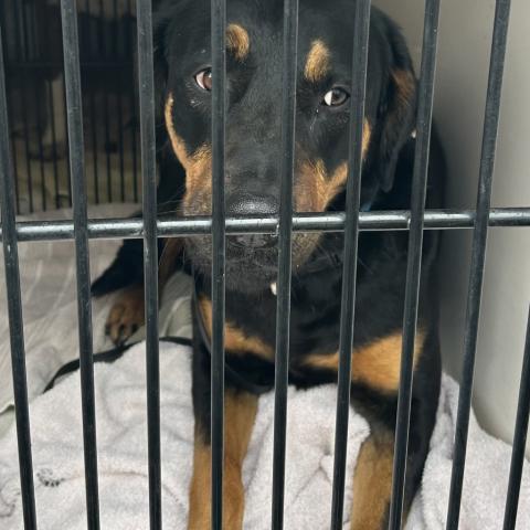 Photo for 154966 [Azuca]