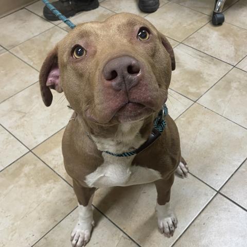 Photo for 154968 [Coco (level 2)]