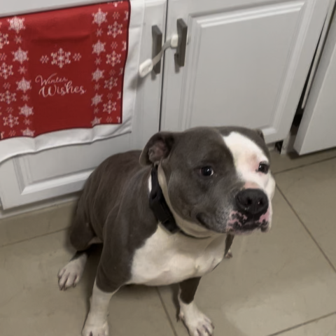 Photo for 154974 [Sosa]