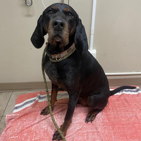 Photo for 154992 [Willie]