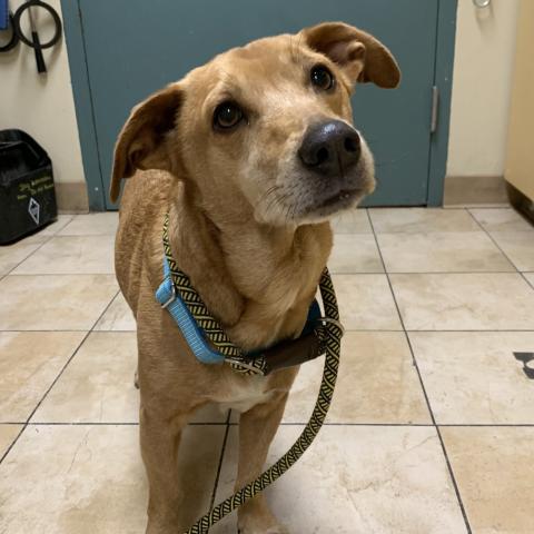 Photo for 154994 [Lil Wayne]