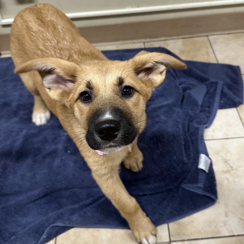 Photo for 155018 [Wendy]