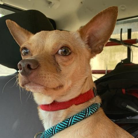 Photo for 155097 [Rodriquez]