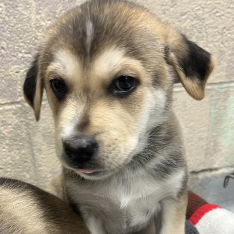 Photo for 155120 [Crush]