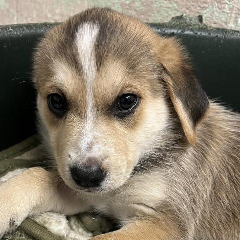 Photo for 155124 [Seven Up]