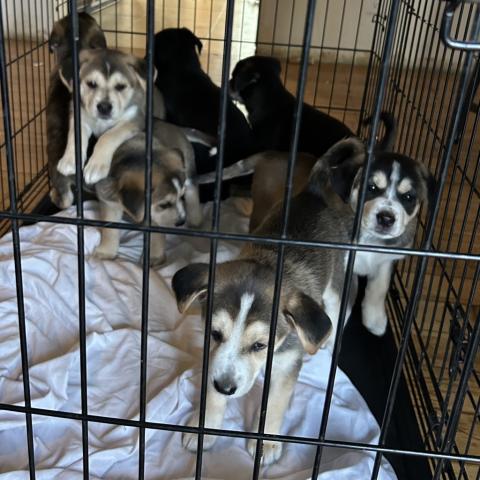 Photo for 155128 [Coca-Cola]