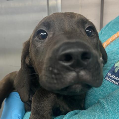 Photo for 155148 [Macchiato]