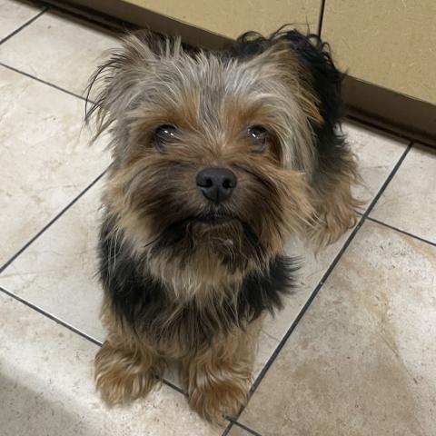 Photo for 155167 [Felix]