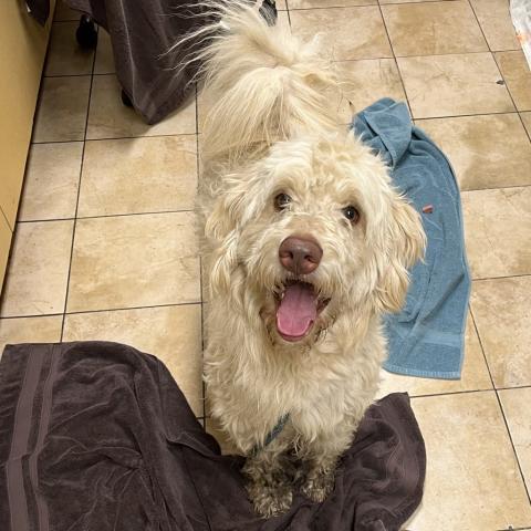 Photo for 155206 [Snicklefritz]