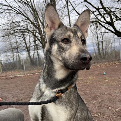 Photo for 155384 [Miller]