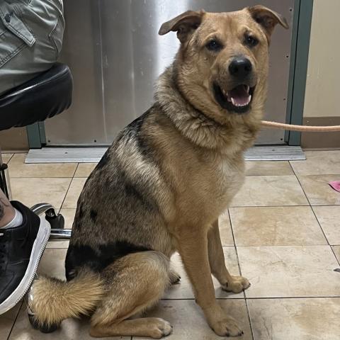 Photo for 155429 [Sam]