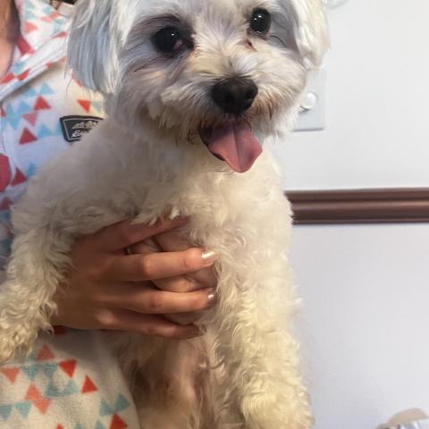 Photo for 155439 [Unknown ]